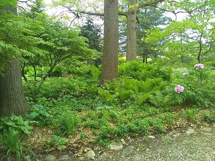 Photo by Ron Burt DJ